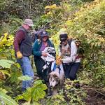 Colette Ireland and Kathy Sarns carry Thunder through overgrown brush during their rescue. (Photos by Donna Faulkner, Elise Nacht Boyer and Janet Fink)