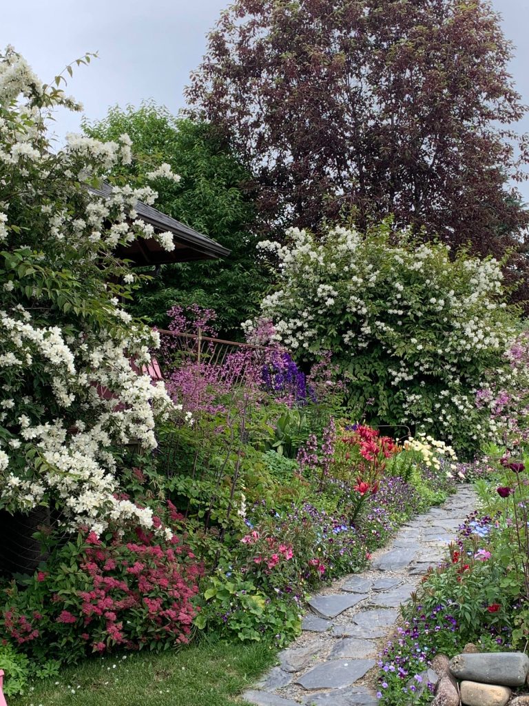 A photo from the Kachemak Gardener's 2021 season. (Photo by Rosemary Fitzpatrick)