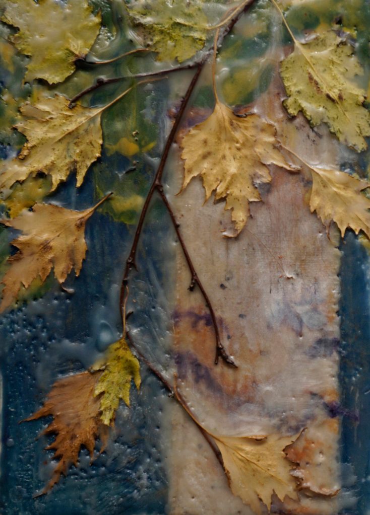 Kiki Abrahamsons Cutleaf Birch is one of the works showing in the Homer Council on the Arts Fun wtih 5x7 show through Dec. 22, 2021, at the gallery in Homer, Alaska. (Photo by Michael Armstrong/Homer News)