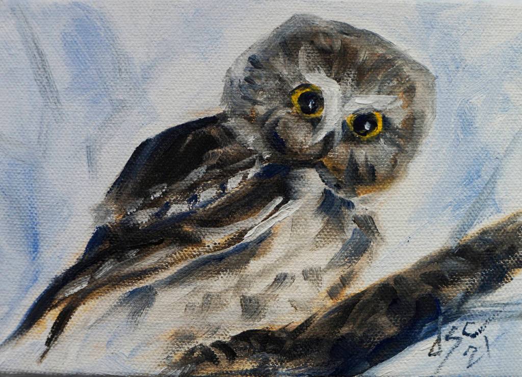 Dianne Spence-Chormans Saw-Whet Owl is one of the works showing in the Homer Council on the Arts Fun wtih 5x7 show through Dec. 22, 2021, at the gallery in Homer, Alaska. (Photo by Michael Armstrong/Homer News)