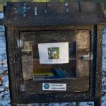 A little free library is located outside of the Homer Public Library. (Photo by Sarah Knapp/Homer News)