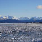 Ice has begun to fill Mud Bay, as seen from the Homer Spit on Tuesday, Nov. 17, 2021, in Homer, Alaska. (Photo by Michael Armstrong/Homer News)