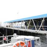 1Coast Guardsmen and state employees carry the Together Tree, bound for the Alaska Governors Mansion, up from the pier on Nov. 29, 2021 after the Coast Guard Cutter Elderberry transported the tree from Wrangell. (USCG photo / Petty Officer 2nd Class Lexie Preston)
1Coast Guardsmen and state employees carry the Together Tree, bound for the Alaska Governors Mansion, up from the pier on Nov. 29, 2021 after the Coast Guard Cutter Elderberry transported the tree from Wrangell. (USCG photo / Petty Officer 2nd Class Lexie Preston)