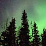 The reward of cold weather are the displays of the aurora borealis, like this one taken this fall on the Kenai. (Photo by K. Inman/FWS)