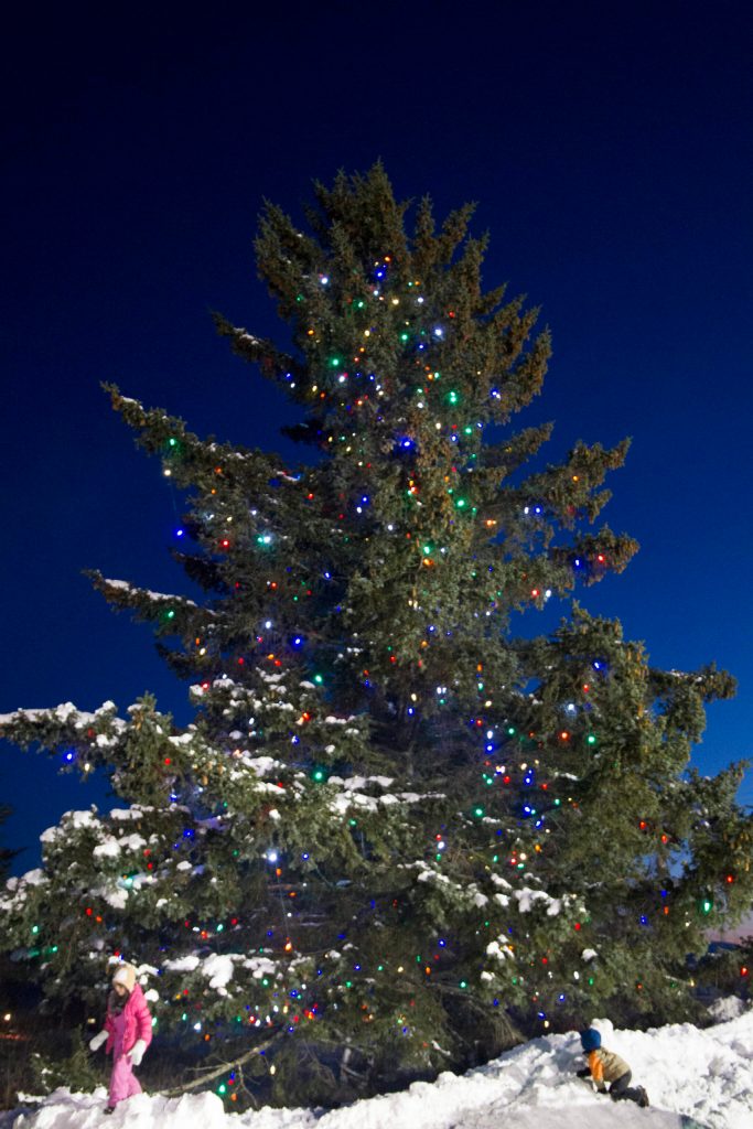 Children play underneath the holiday tree at the Homer Chamber of Commerce Visitors Center after it was lit on Dec. 2. (Photo by Sarah Knapp/Homer News)