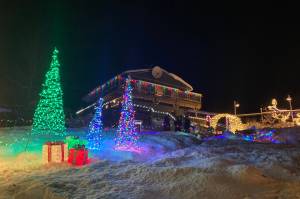 Bear Creek Winery Garden of Lights will return this weekend with Christmas lights, hot chocolate, a bonfire and holiday music. Garden of Lights will be open from 5-7 p.m. on Dec. 17-18. (Photo by Sarah Knapp/Homer News)