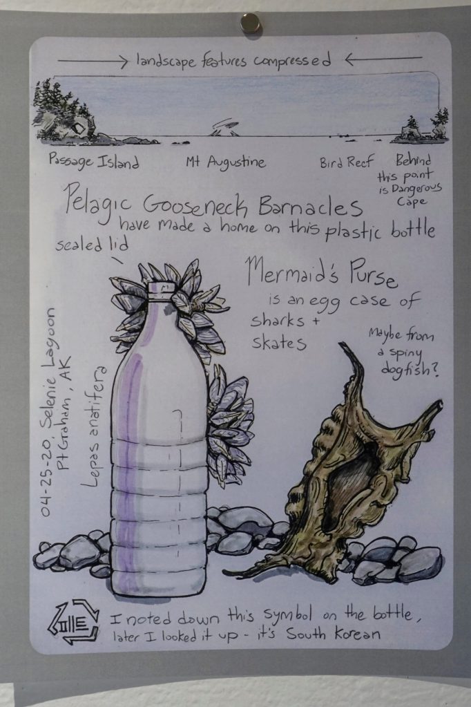 Kim McNetts exhibit at Bunnell Street Arts Center includes images from her nature journals. The show continues through Dec. 24, 2021, at the gallery in Homer, Alaska. (Photo by Michael Armstrong/Homer News)