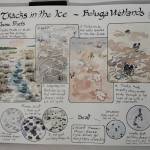 Kim McNetts exhibit at Bunnell Street Arts Center includes images from her nature journals. The show continues through Dec. 24, 2021, at the gallery in Homer, Alaska. (Photo by Michael Armstrong/Homer News)