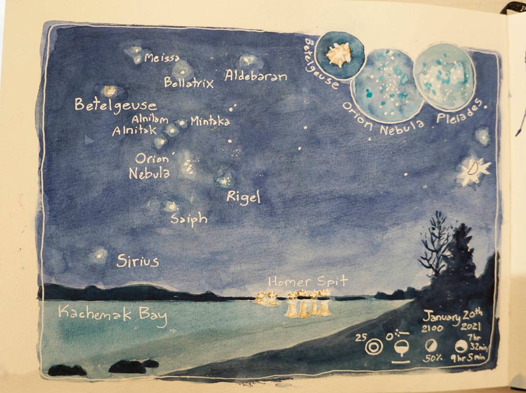 Kim McNetts exhibit at Bunnell Street Arts Center includes images from her nature journals. The show continues through Dec. 24, 2021, at the gallery in Homer, Alaska. (Photo by Michael Armstrong/Homer News)