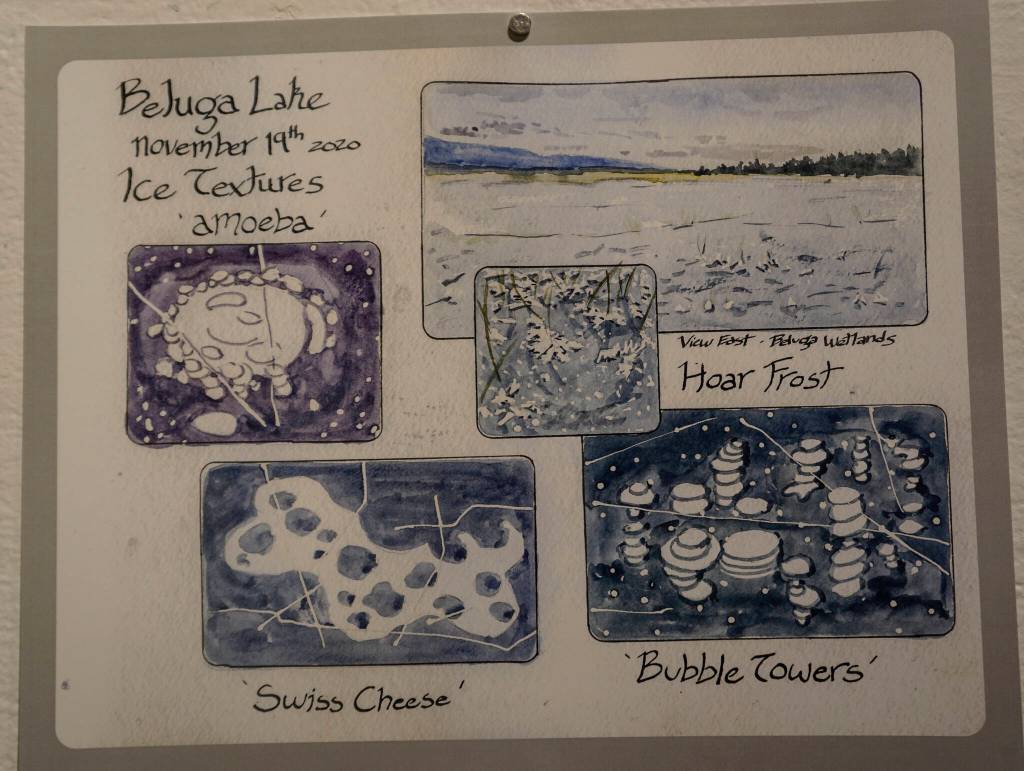 Kim McNetts exhibit at Bunnell Street Arts Center includes images from her nature journals. The show continues through Dec. 24, 2021, at the gallery in Homer, Alaska. (Photo by Michael Armstrong/Homer News)