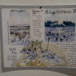 Kim McNett's exhibit at Bunnell Street Arts Center includes images from her nature journals. The show continues through Dec. 24, 2021, at the gallery in Homer, Alaska. (Photo by Michael Armstrong/Homer News)