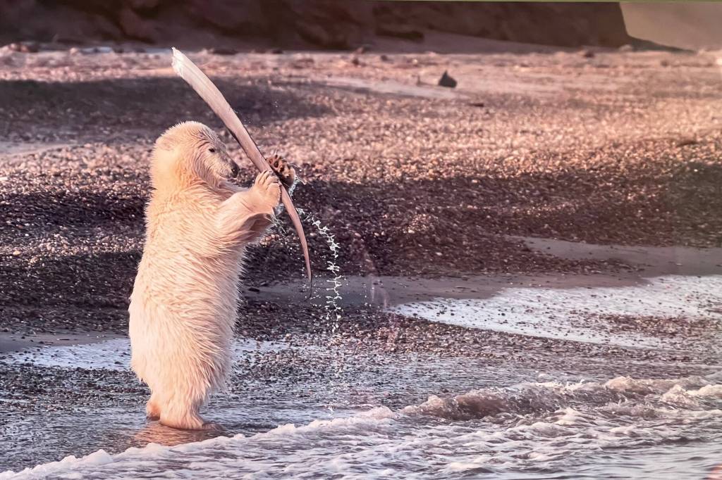 This wildlife photo is part of art being featured this month at Ptarmigan Arts in Homer. (Photo provided)
