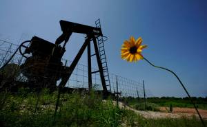 A wildflower blows in the wind near an old pump jack on Molly Rooke's ranch, Tuesday, May 18, 2021, near Refugio, Texas. Oil and gas drilling began on the ranch in the 1920s and there were dozens of orphaned wells that needed to be plugged for safety and environmental protection. According to the U.S. Department of the Interior, Alaska will receive more than $32 million for clean up efforts. (AP Photo/Eric Gay)