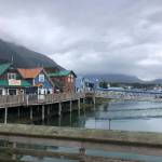The Seward Harbor is seen on Sept. 8, 2021. (Camille Botello/Peninsula Clarion)