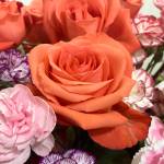 Sarahs flowers for Valentines Day. (Photo by Sarah Knapp/Homer News)