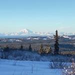 Mt. Redoubt can be seen across Cook Inlet from Diamond Ridge on the Marathon Ski Trail on Sunday, Jan. 24, 2021, near Homer, Alaska. (Photo by Michael Armstrong/Homer News)