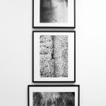 Several of Lisa Williams photographs from her exhibit at the Pratt Museum & Park in Homer, Alaska. (Photo by Sean McDermott)