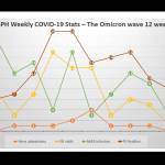This graph created by South Peninsula Hospital shows the trends in the COVID-19 and omicron wave over the past 12 weeks though March 9 based on data collected through the hospital, with information on percentage of positive cases (brown line), monoclonal antibody infusions (green line), emergency room visits (yellow line) and hospital admissions (orange line). Except for ER visits, there has been a general decline since the week ending March 2. (Graph by South Peninsula Hospital)