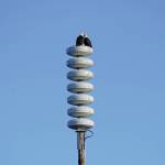 Photo by Michael Armstrong/Homer News
Two bald eagles perch on a tsunami warning tower on Monday, March 14, on the Homer Spit. Gov. Mike Dunleavy on Tuesday declared March 20-26 as Tsunami Preparedness Week in Alaska.