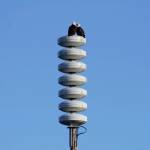 Two bald eagles perch Monday, March 14, 2022, on a tsunami warning tower on the Homer Spit. Gov. Mike Dunleavy on Tuesday declared March 2-26 as Tsunami Preparedness Week in Alaska. (Photo by Michael Armstrong/Homer News)
