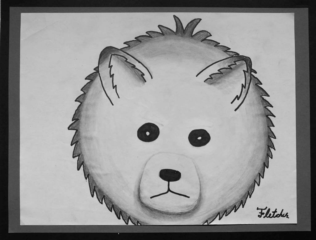 Grade 6 McNeil Canyon Elementary student Fletcher Darr's pencil and ink drawing. (Photo by Michael Armstrong/Homer News)