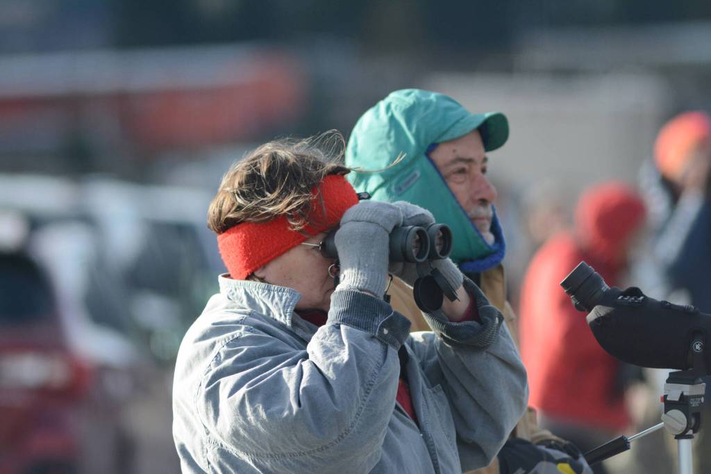 Birdwatchers scan Mud Bay for birds on Friday, May 6, 2022, during the Kachemak Bay Shorebird Festival in Homer, Alaska. (Photo by Michael Armstrong/Homer News)