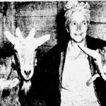 On Oct. 3, 1945, the Spokane Chronicle published this A.P. photo of Miriam Mathers and her goats as she prepared to board a Seattle steamship bound for Seward.