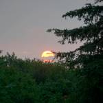 Smoke from wildfires makes the setting sun appear bright red on Saturday, June 11, 2022, as seen from Diamond Ridge near Homer, Alaska. (Photo by Michael Armstrong/Homer News)