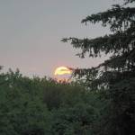 Smoke from wildfires makes the setting sun appear bright red on Saturday, June 11, 2022, as seen from Diamond Ridge near Homer, Alaska. (Photo by Michael Armstrong/Homer News)
