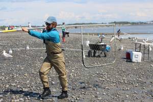 Shawn Dick of Talkneetna carries a fresh catch out of the water while dipnetting on the Kenai Beach on July 10, 2020. (Peninsula Clarion file)