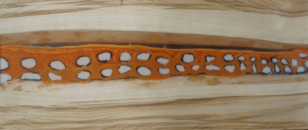 Michelle Melchert's epoxy resin work is oart of the Disability Pride Month art show, as seen on Friday, July 1, 2022, at Grace Ridge Brewing in Homer, Alaska. (Photo by Michael Armstrong/Homer News)