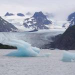 Icebergs have been pushed close to shore at Grewingk Glacier Lake on Monday, July 25, 2022, in Kachemak Bay State Park near Halibut Cove, Alaska. (Photo by Michael Armstrong/Homer News)