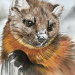 A pastel drawing from Turea M. Midge Grices show opening Friday, Aug. 5, 2022, at Fireweed Gallery in Homer, Alaska. (Photo provided)