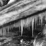 One of the new black-and-white photographs from Taz Tallys August show opening Friday at the Art Shop Gallery. (Photo provided)