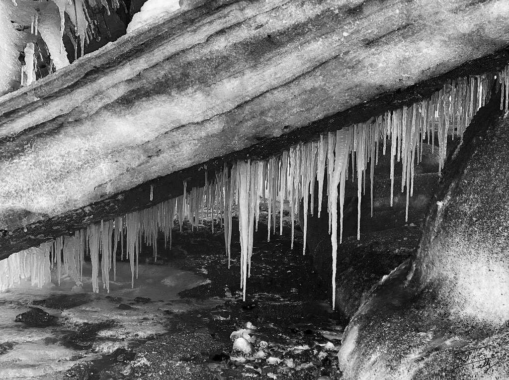 One of the new black-and-white photographs from Taz Tallys August show opening Friday at the Art Shop Gallery. (Photo provided)