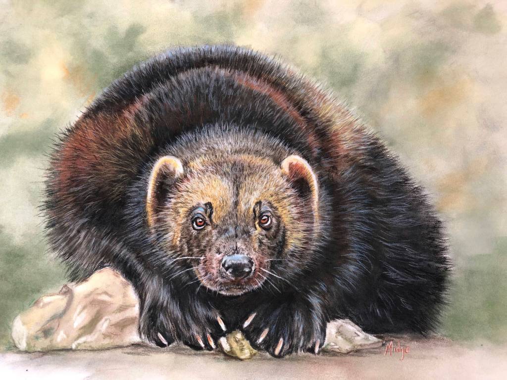 A pastel drawing from Turea M. Midge Grices show opening Friday, Aug. 5, 2022, at Fireweed Gallery in Homer, Alaska. (Photo provided)