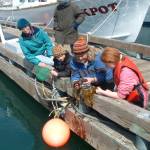 Lori Holcomb of Talkeetna and daughters Heather and Heidi are introduced to "Creatures of the Dock" during a Saturday tour led in May 2007 by Marilyn Sigman (center), director of Center for Alaskan Coastal Studies. (Courtesy photo/Center for Alaskan Coastal Studies)