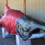 A salmon art installation waits to be hoisted in Ninilchik, Alaska, on Friday, Aug. 5, 2022 for Salmonfest, an annual event that raises awareness about salmon-related causes. (Ashlyn OHara/Peninsula Clarion)
