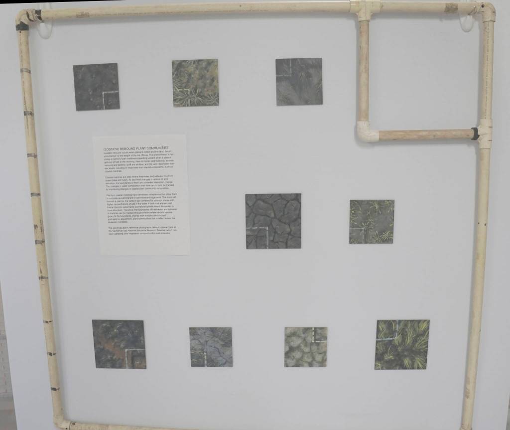 Kate Lochridges paintings and installation shows vegetation analyzed for research into isostatic rebound by scientists at the Kachemak Bay National Estuarine Research Reserve. The pipes are for a grid used to reference the plots. As land rises from changes in topography caused by melting glaciers the vegetation changes. (Photo by MIchael Armstrong/Homer News)