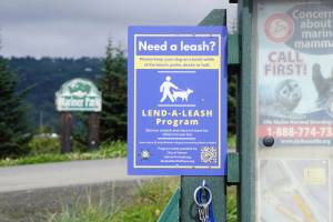 Leashes to lend hang from a kiosk at Mariner Park on Friday, Aug. 12, 2022, in Homer, Alaska. (Photo by Michael Armstrong/Homer News)