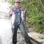 Photo by Ken Gates 
Some great examples of genetic diversity with Kenai River king salmon populations.