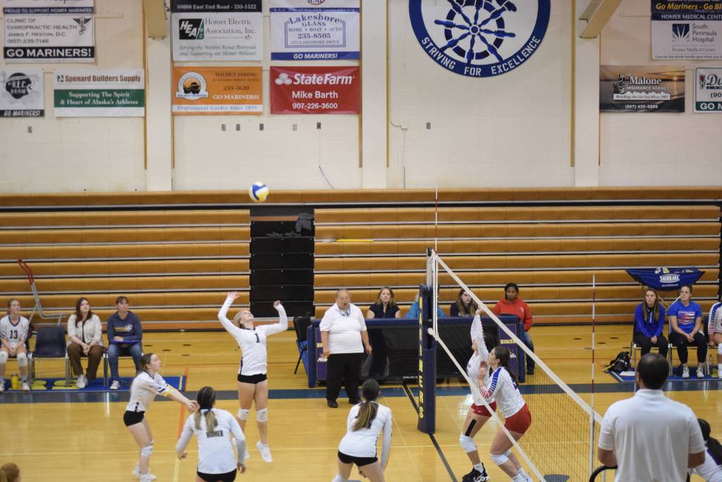 A prepared Mariner team readies to strike at Homer High School Alice Witte Gym on Wednesday, Aug. 24, 2022. (Photo by Charlie Menke/ Homer News)