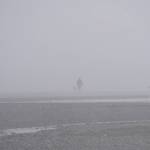 A beachwalker and their dogs can barely be seen in the fot on Monday, Aug. 29, 2022, at Mariner Park on the Homer Spit. (Photo by Michael Armstrong/Homer News)