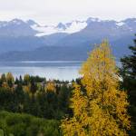 Birch trees have begun to turn yellow in this view of the Maria Road area and across Kachemak Bay as seen on Sunday, Sept. 18, 2022, from Old East End Road near McNeil Canyon, Alaska. (Photo by Michael Armstrong/Homer News)