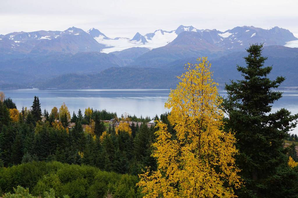 Birch trees have begun to turn yellow in this view of the Maria Road area and across Kachemak Bay as seen on Sunday, Sept. 18, 2022, from Old East End Road near McNeil Canyon, Alaska. (Photo by Michael Armstrong/Homer News)