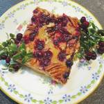 Photo by Tressa Dale/Peninsula Clarion
Sweet and tart cranberry pecan oat bars bring some colors to fall.