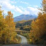 Fall colors frame Knik River Road on Saturday, Sept. 16, 2022 in Knik River, Alaska. (Ashlyn OHara/Peninsula Clarion)