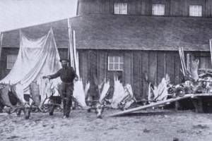 William N. (Bill) Dawson poses in either Kenai or Kasilof in 1898 with a collection of moose antlers and sheep horns  trophies from kills he had made in the Skilak Lake area. (Photo from J.T. Studleys 1912 hunting memoir)