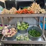 Produce is for sale at the Homer Farmers Market on Sunday, Oct. 15, 2022, in Homer, Alaska. A few vendors are still selling on Saturdays and Wednesdays. (Photo by Christina Whiting)