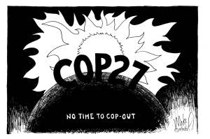 Michael O'Meara's cartoon for Nov. 10, 2022.